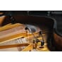 008701_Rel x1_MC-8-Piano-A_Neumann-Miniature-Clip-Mic-System_G.jpg