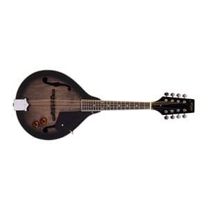 MORGAN MANDOLIN M 20 E TBK