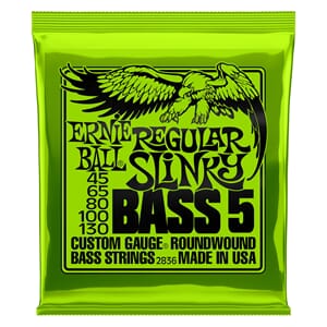 Ernie Ball Regular Slinky Bass 5  45-130