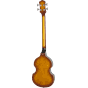 557205_Rel GEP-EBVIVSCH1-2-B.png