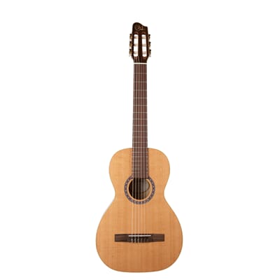 GD-N-049738 49738_Godin_Nylon_Motif.jpg