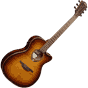 529020_Rel 2.png
