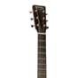 9600119_Rel D-X2E_BILLY-STRINGS_h.jpg