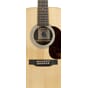 9600119_Rel D-X2E_BILLY-STRINGS_t.jpg