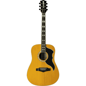 Eko Ranger VR6 EQ Natural