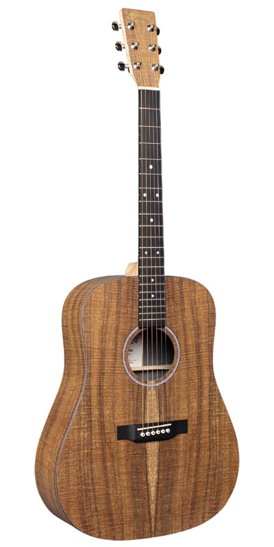 9600120 0199350_martin-d-x1e-koa.jpg