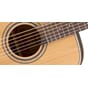 4210200_Rel IJ4xI_Takamine_Takamine_GD20-NS_1.jpg