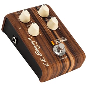 LR BAGGS ALIGN REVERB