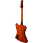 556751_Rel GEP-EIFBVSNH1-2-B.png