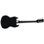 613359_Rel GEP-E1SGTEBNH1-2-B.png