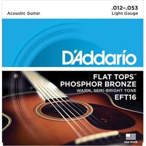 D`addario EFT16 Phos. Bronze Flat top (012-053)