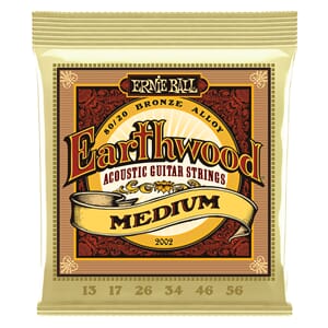 Ernie Ball Earthwood 13-56 Brz Md.