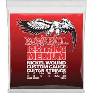 Ernie Ball EB2236 12-string Medium Guitar 11-52