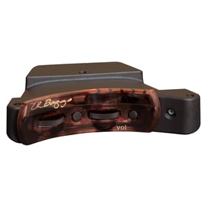 LR BAGGS SESSION VTC