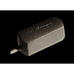 LR BAGGS RADIUS-M (MANDOLIN)