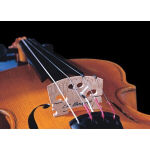 LR BAGGS VIO (Fiolin)