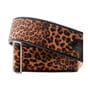 8419615000872_Rel Steady-Talisman-LEOPARD-Beige (2)-1200x900.jpg