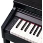 RP701-CB_Rel 2.jpg