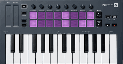 577550 RNO-FLKEY-MINI-3-B_1.png