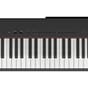 NP225B_Rel 4.jpg