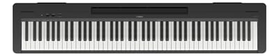 P145B 1.jpg