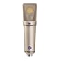 006449_Rel x1_U-89-i-Frontal_Neumann-Studio-Microphone_G.jpg